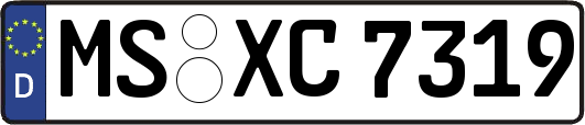 MS-XC7319