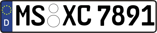 MS-XC7891