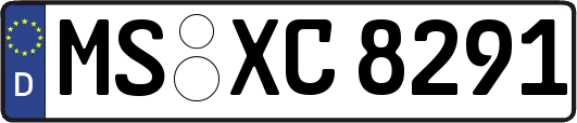 MS-XC8291
