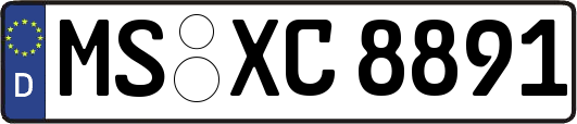 MS-XC8891