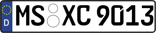 MS-XC9013