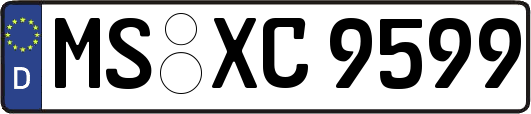 MS-XC9599