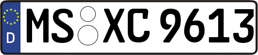 MS-XC9613