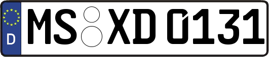 MS-XD0131