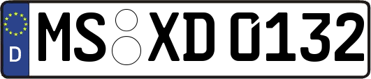 MS-XD0132