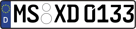 MS-XD0133