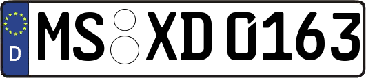 MS-XD0163