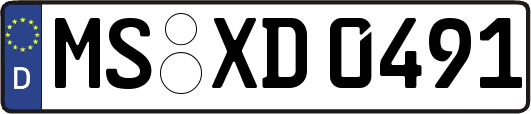 MS-XD0491