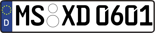 MS-XD0601