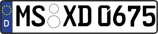MS-XD0675