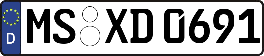 MS-XD0691