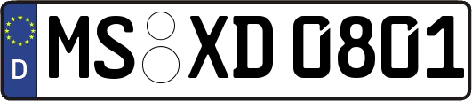 MS-XD0801