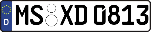 MS-XD0813
