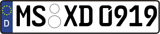 MS-XD0919