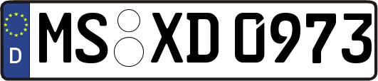 MS-XD0973