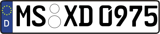 MS-XD0975