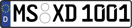 MS-XD1001