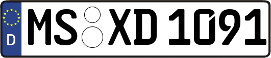 MS-XD1091