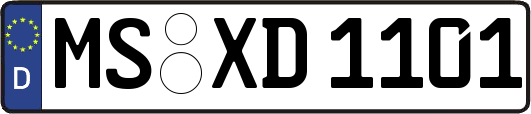 MS-XD1101