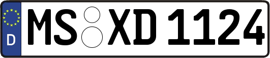 MS-XD1124