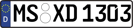 MS-XD1303