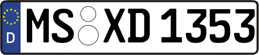MS-XD1353