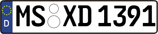 MS-XD1391