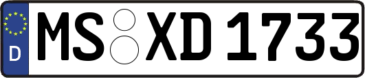 MS-XD1733