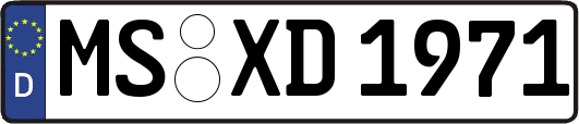 MS-XD1971