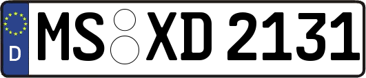 MS-XD2131