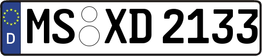 MS-XD2133