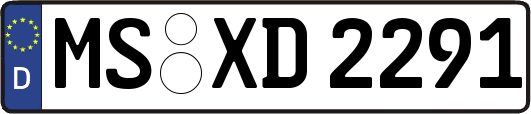MS-XD2291