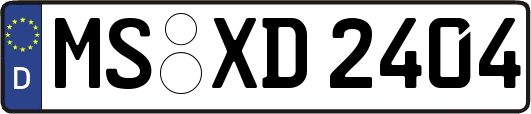 MS-XD2404