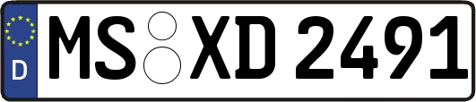 MS-XD2491