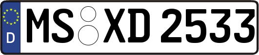 MS-XD2533