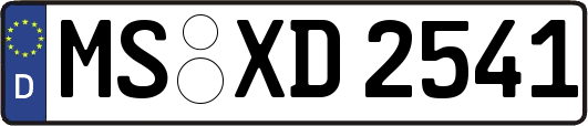MS-XD2541