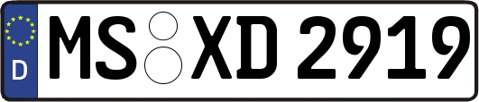 MS-XD2919