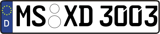 MS-XD3003