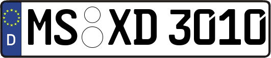 MS-XD3010