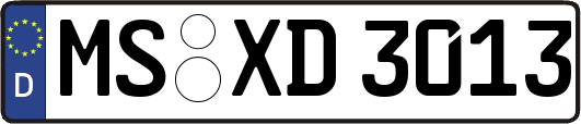MS-XD3013