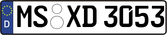 MS-XD3053