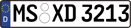MS-XD3213
