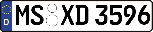 MS-XD3596