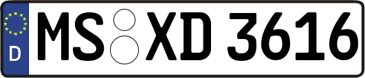 MS-XD3616