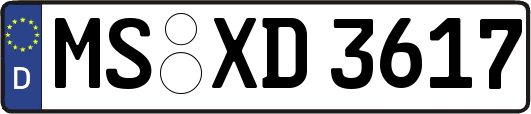 MS-XD3617