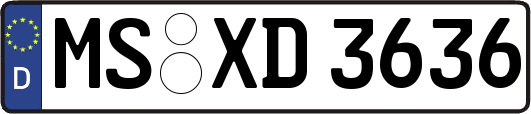 MS-XD3636