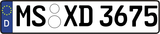 MS-XD3675