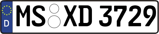 MS-XD3729