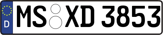 MS-XD3853