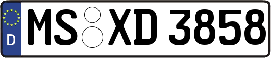 MS-XD3858